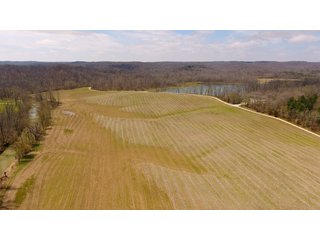 Property photo 25 - REAL ESTATE AUCTION - 1,013 ACRES IN 21 TRACTS IN MARTIN COUNTY, INDIANA